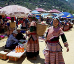 sapa-daily-tour