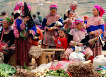 Bac Ha Market