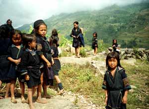 Black Hmong minority