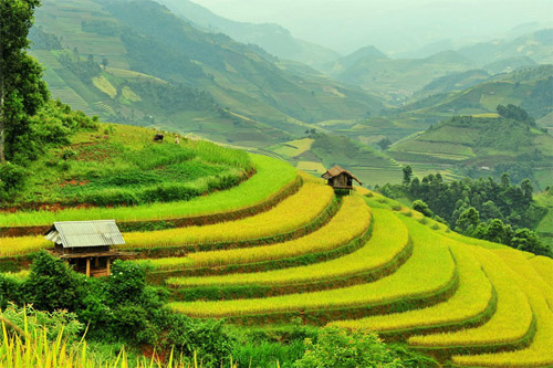 Káº¿t quáº£ hÃ¬nh áº£nh cho Muong Hoa valley