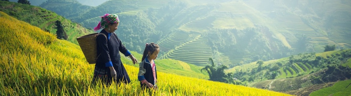 Sapa Halong Package tours