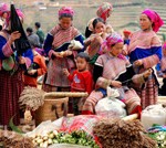 Bac-Ha-Market