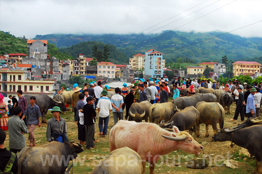 Bac-Ha-Market-6