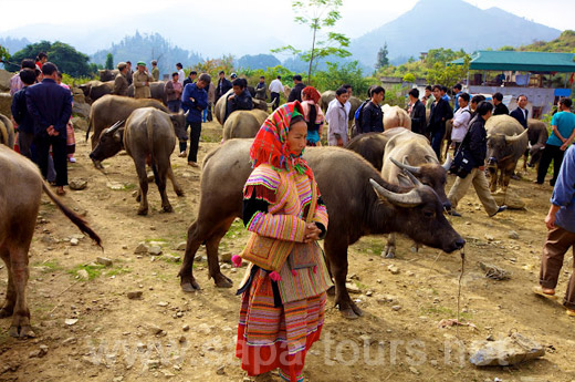 Bac-Ha-Market-7