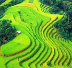 Beautiful-and-romantic-Sapa