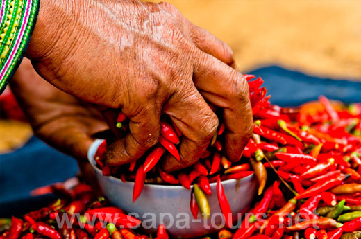 Can-Cau-Market-3