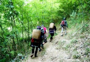 Sapa trekking tours