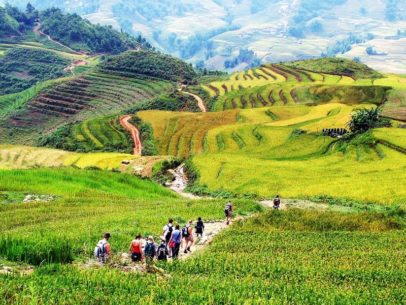 sapa trekking