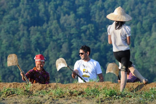 Work at rice fields