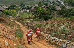 Ban Ho Valley Trek Sapa