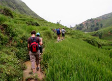 Sapa Trekking Trip