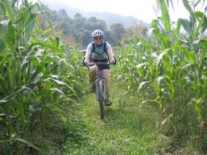 Sapa biking tours