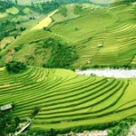 Cultural festival highlights Mu Cang Chai terraced fields