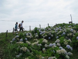 Mauson mountain