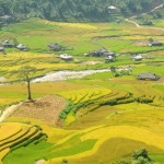 Mu Cang Chai for unique landscape