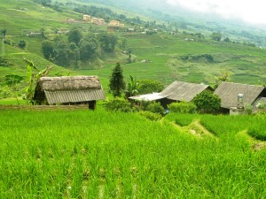 Sapa homestay