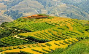 Sapa's Miraculous Land (5)