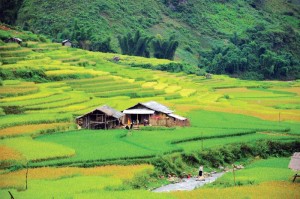 Ma Tra – new venue for tourists in Sapa