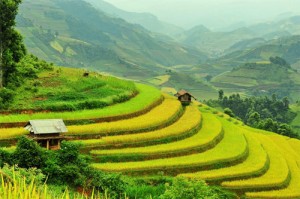 Muong Hoa Valley 1