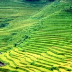 Muong Hoa valley