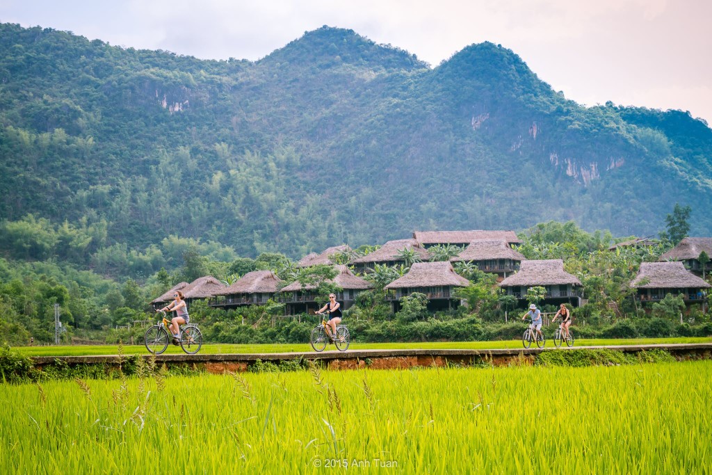 Mai Chau