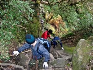 Conquer Fansipan mountain