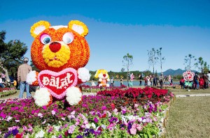 Festival Flower Da Lat