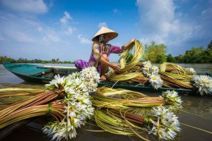 Vietnam tour