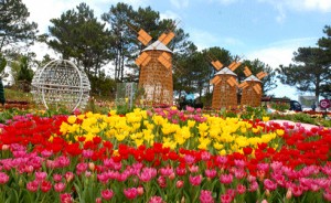 Da Lat flower festival