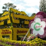 dalat-flower-festival