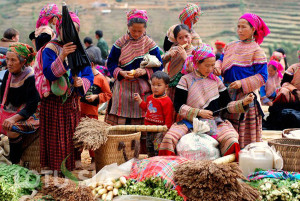 market-sapa tours