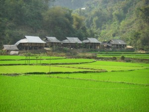 mai-chau