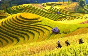 sapa tours