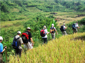 Sapa trekking