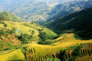 sapa tours