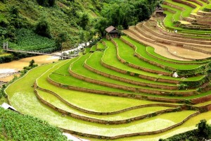 Giang Ta chai sapa 1