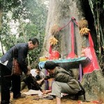 worshipping forest festival of the nung