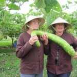 Gardening-TraQue