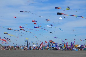 Kites Festival