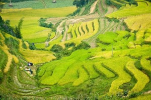 August and September in Ha Giang