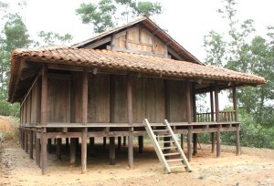 Nung stilt house