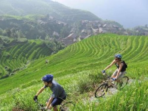  Sapa Biking