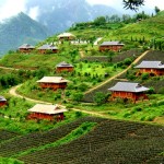 new-starlight-travel-0357-sapa-9