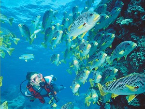 diving-nha-trang