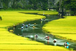 Tam coc - Bich Dong tours