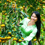 Fruit Garden - Mekong Delta