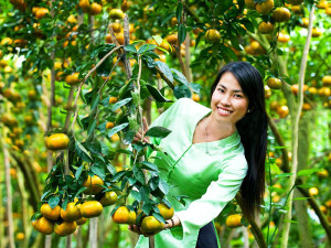 Fruit Garden - Mekong Delta