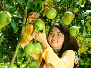 Mekong Delta