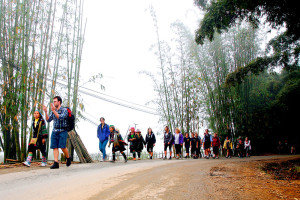 Sapa trekking tour