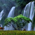 Ban Gioc Waterfall